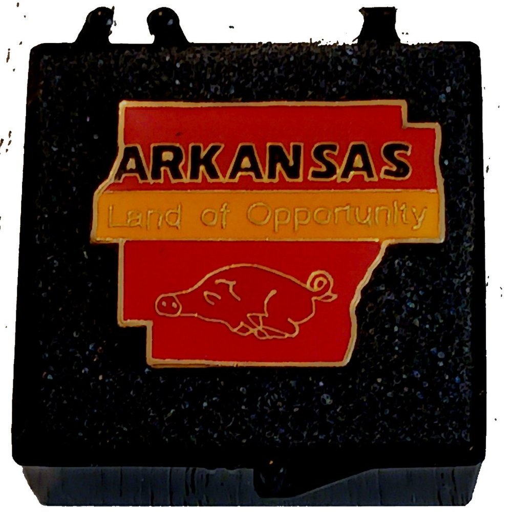Arkansas State Lapel Pin